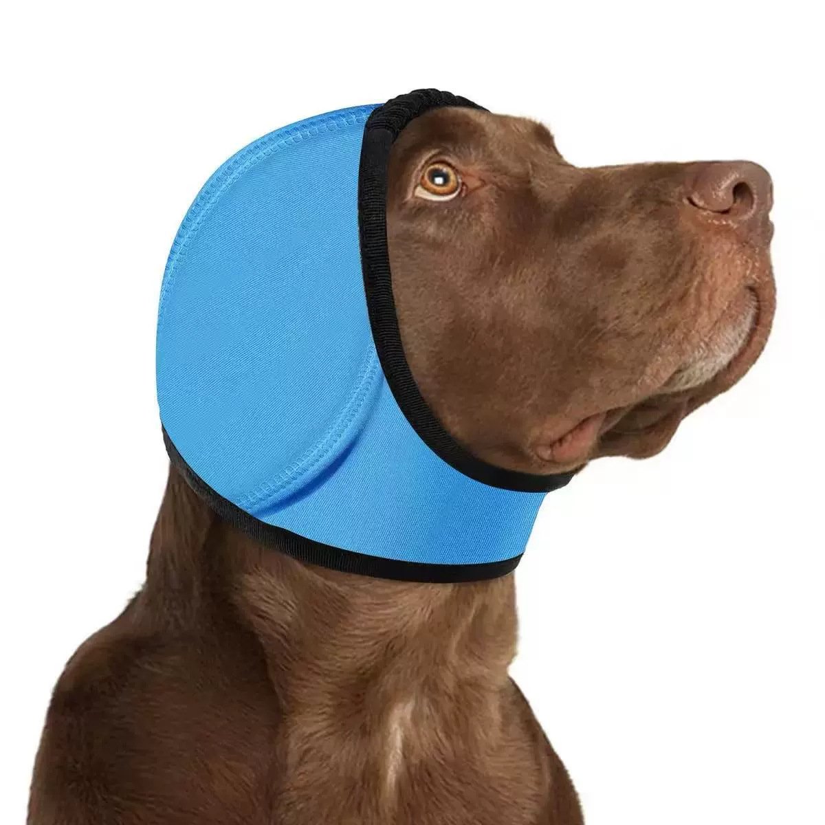 🐶Beroligende ørebeskyttelse/pannebånd for hunder, vanntette badehetter for hund
